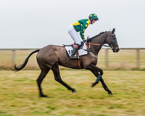 Race 7 - Open Maiden (15 of 55)