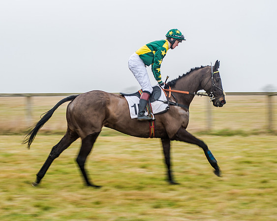 Race 7 - Open Maiden (16 of 55)