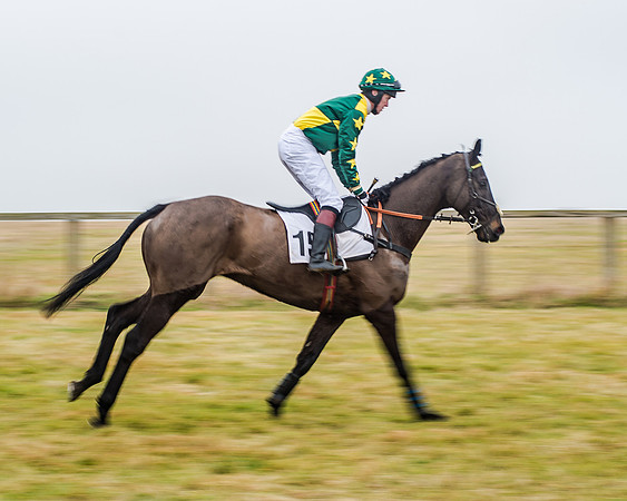 Race 7 - Open Maiden (17 of 55)