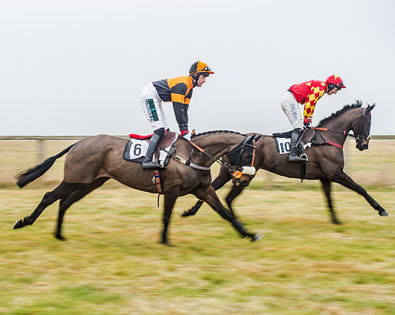 Race 7 - Open Maiden (18 of 55)