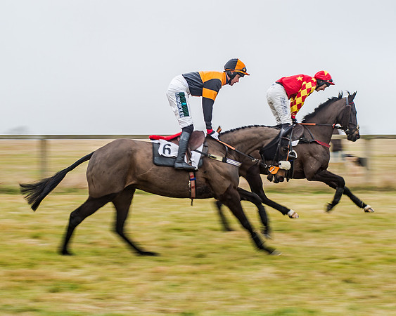Race 7 - Open Maiden (19 of 55)
