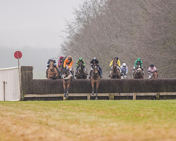 Race 7 - Open Maiden (22 of 55)