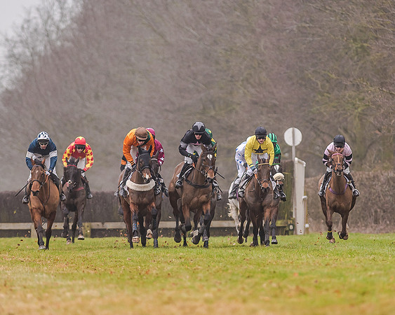 Race 7 - Open Maiden (25 of 55)