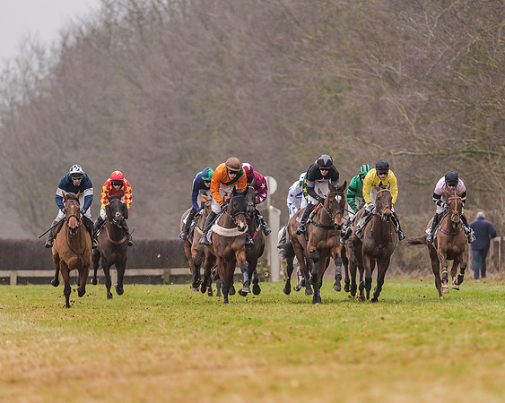 Race 7 - Open Maiden (28 of 55)