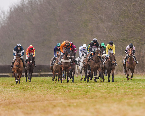 Race 7 - Open Maiden (29 of 55)
