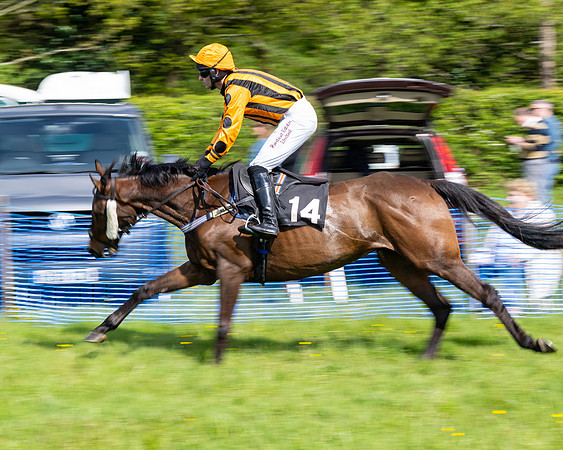 Race 4 -  2M4F Conditions  (13 of 102)