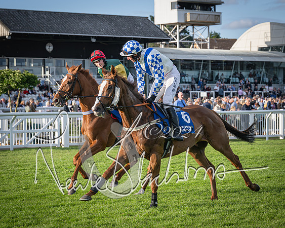 Race 4 - Peretemps Stratford Foxhunters (36 of 168)