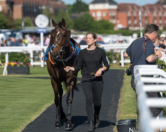 Race 1 - PPSA Open Hunter chase (15 of 78)
