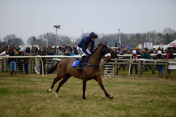 Race 8 - Oprn Maiden Div 2 (9 of 108)