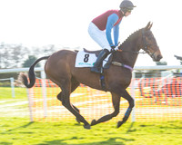 Race 5 - TBA members Mares and Fillies race (19 of 101).jpg