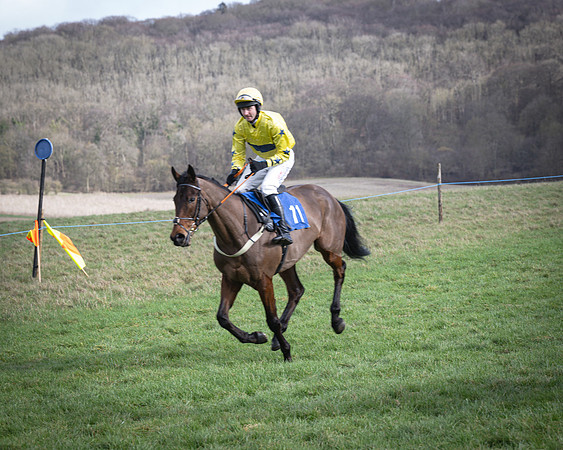 Race 1 - Four and Five year Old Maiden (51 of 137)