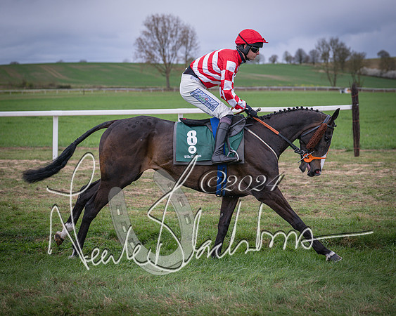 Race 6 - The Restricted Race (24 of 101)