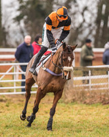 Race 7 - Young Horse Maiden