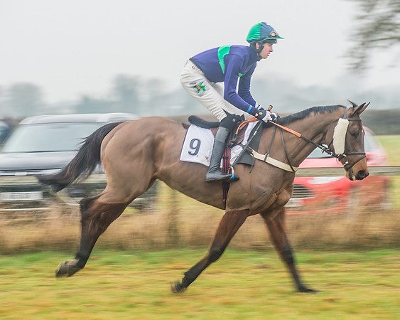 Race 2 - The Intermediate Race-5