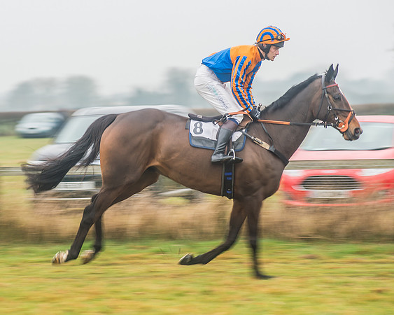 Race 2 - The Intermediate Race-9