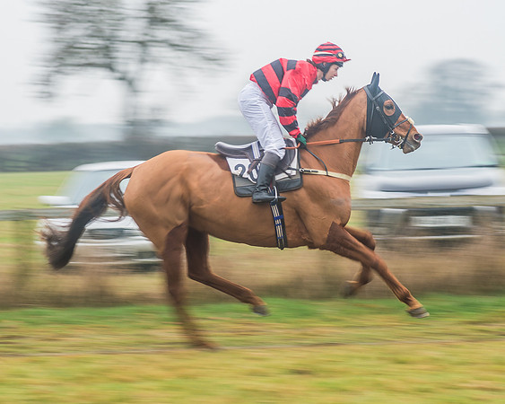 Race 6 - The Open Maiden-19