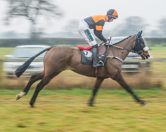 Race 6 - The Open Maiden-23
