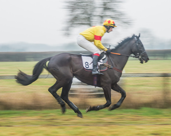 Race 6 - The Open Maiden-28