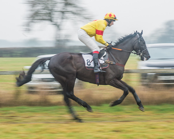 Race 6 - The Open Maiden-29