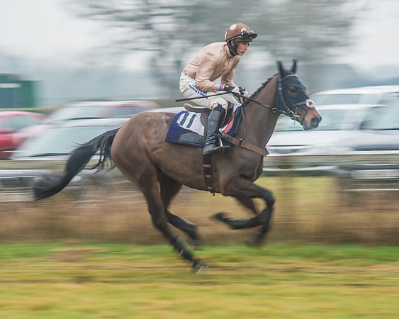 Race 6 - The Open Maiden-30