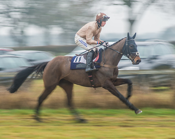 Race 6 - The Open Maiden-31