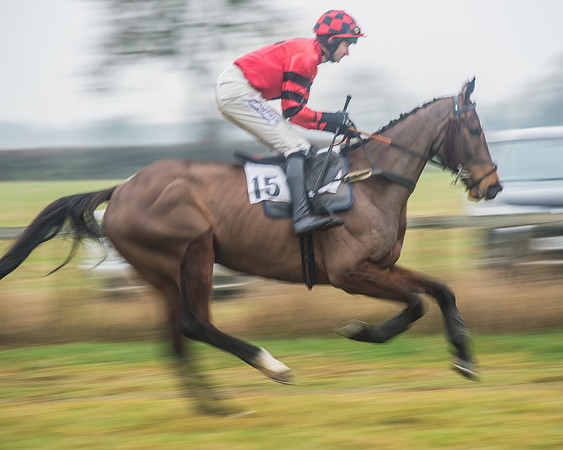 Race 6 - The Open Maiden-33