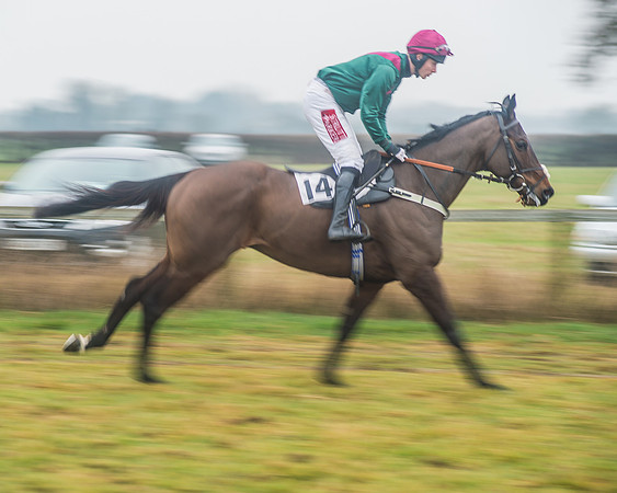 Race 6 - The Open Maiden-38