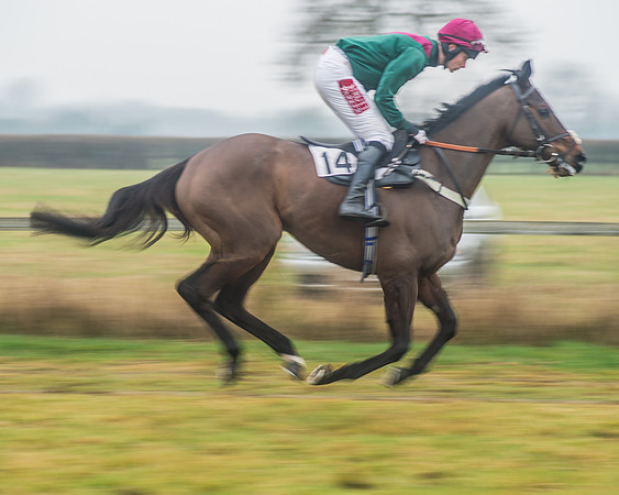 Race 6 - The Open Maiden-39