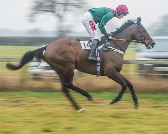 Race 6 - The Open Maiden-40