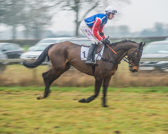 Race 6 - The Open Maiden-43