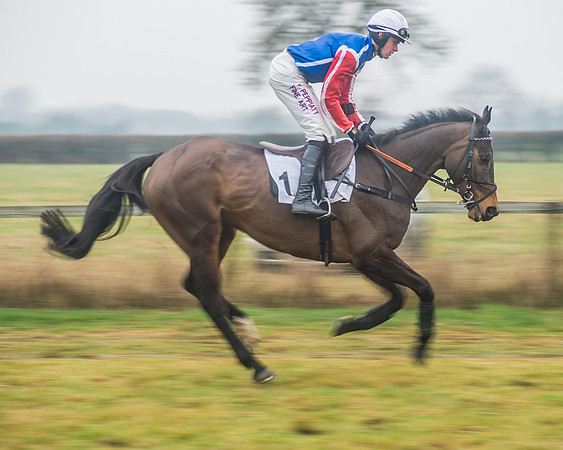 Race 6 - The Open Maiden-44