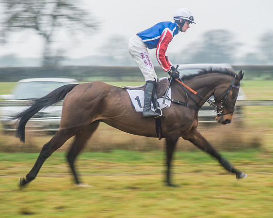 Race 6 - The Open Maiden-46