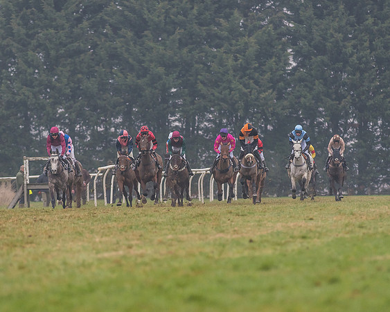 Race 6 - The Open Maiden-69