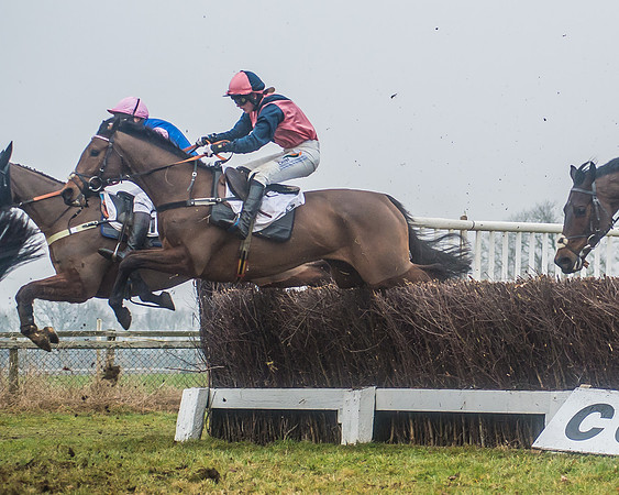 Race 6 - The Open Maiden-81