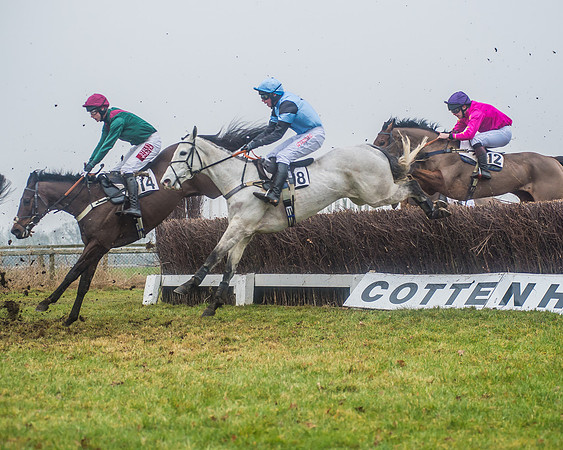 Race 6 - The Open Maiden-85