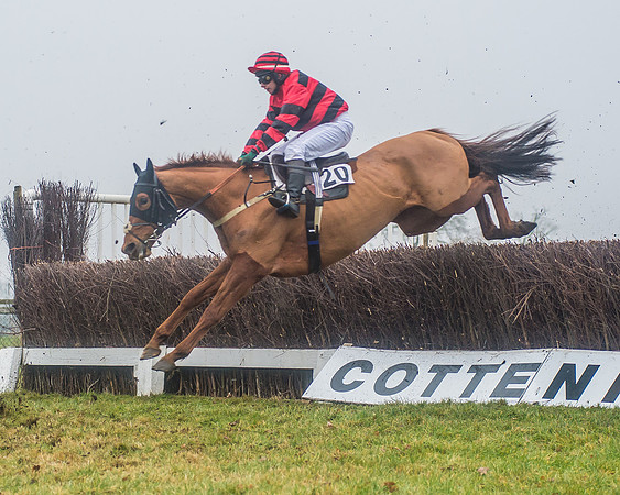 Race 6 - The Open Maiden-86