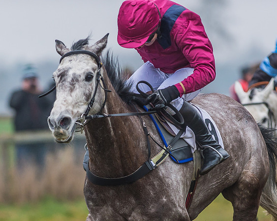 Race 6 - The Open Maiden-113