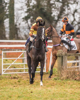 Race 7 - Young Horse Maiden-3