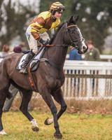 Race 7 - Young Horse Maiden-4