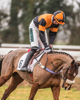 Race 7 - Young Horse Maiden-7