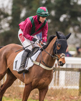 Race 7 - Young Horse Maiden-10