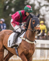 Race 7 - Young Horse Maiden-11