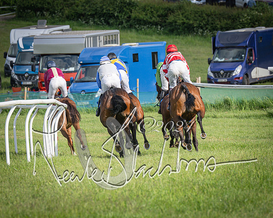 Race 6 - Thorn Plant Hire Maiden Race (61 of 129)
