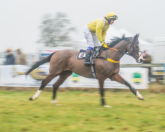 The Ladies Open Race-5