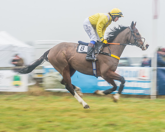 The Ladies Open Race-6