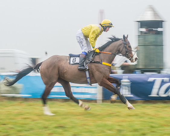 The Ladies Open Race-7