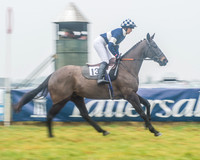 The Ladies Open Race-9