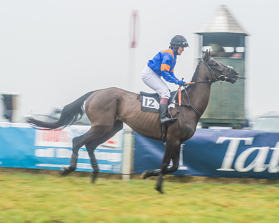The Ladies Open Race-11