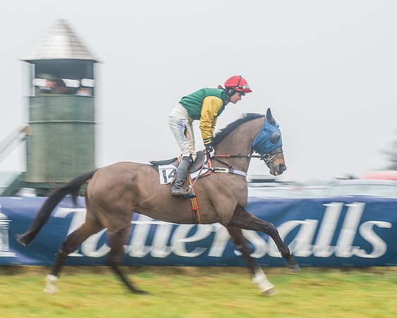 The Ladies Open Race-14