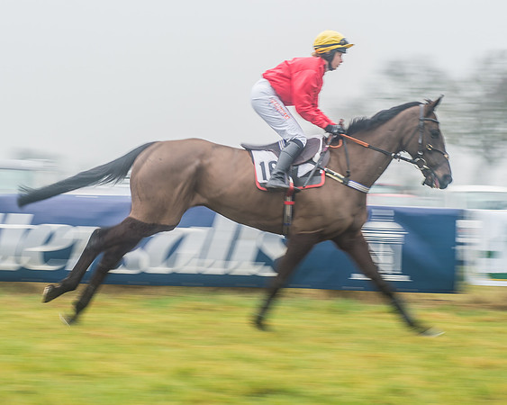 The Ladies Open Race-30